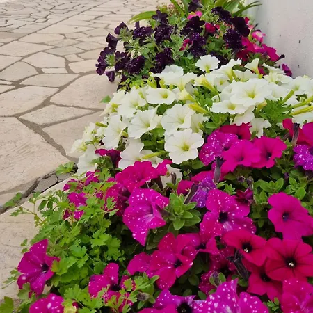 La Dimora Del Giglio *