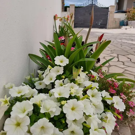 La Dimora Del Giglio